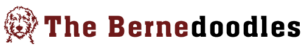 The Bernedoodles logo