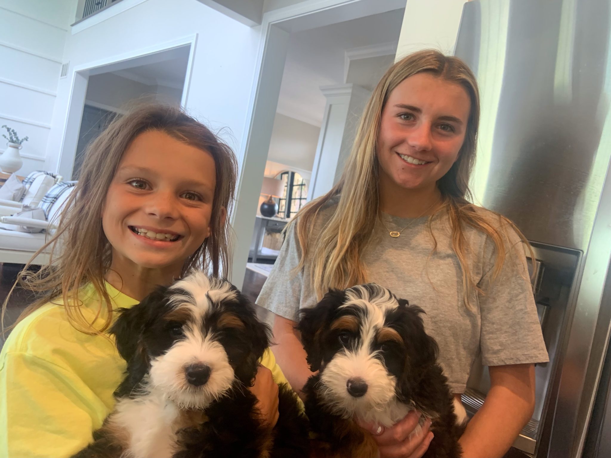 puppy-review