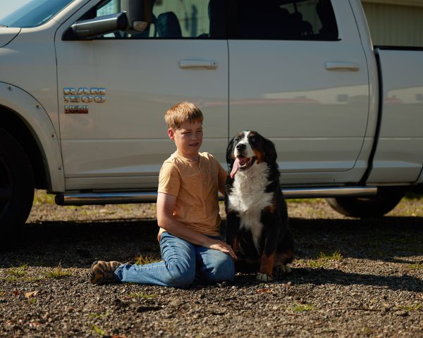 Mindy the Bernese Mountain Mom
