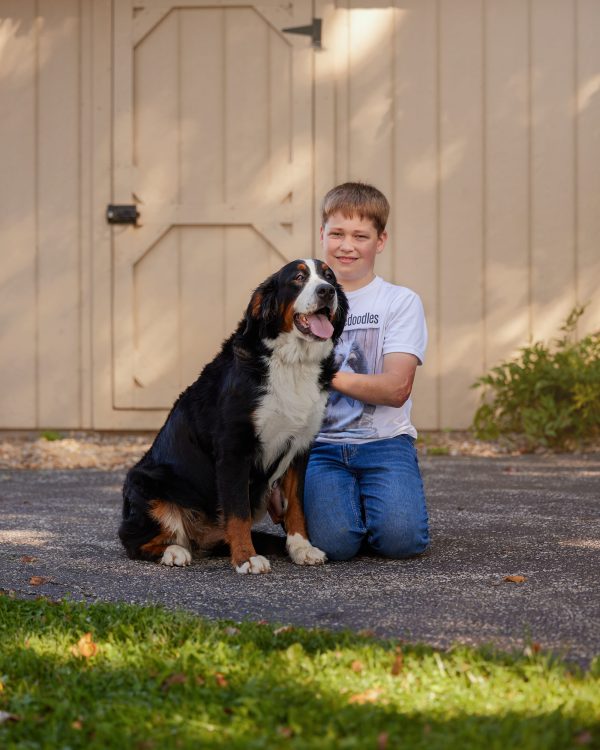 Misty The Bernese Mountain Dog Mom