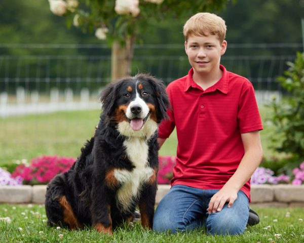 Arie The Bernese Mountain Dog Mom