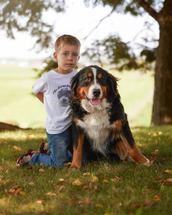 Annie The Bernese Mountain Dog