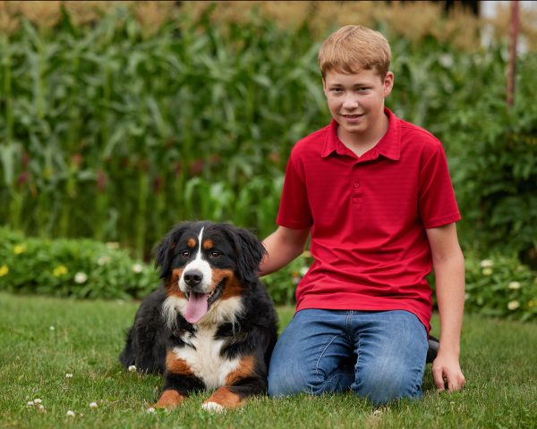 Amy The Bernese Mountain Dog Mom