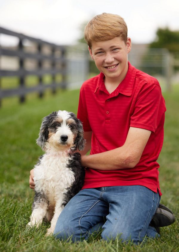 Willow The Mini-Bernedoodle Mom