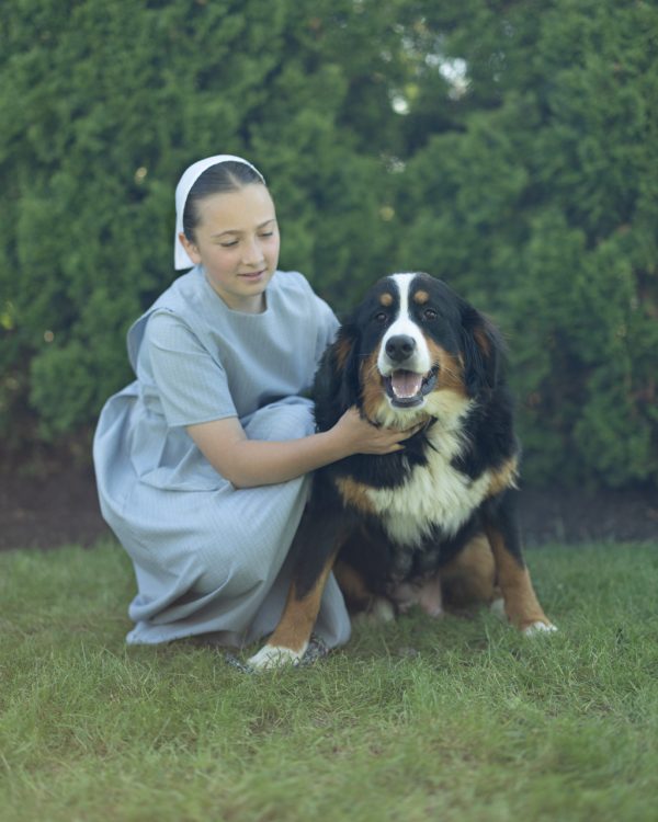 Willow The Bernese Mountain Dog Mom
